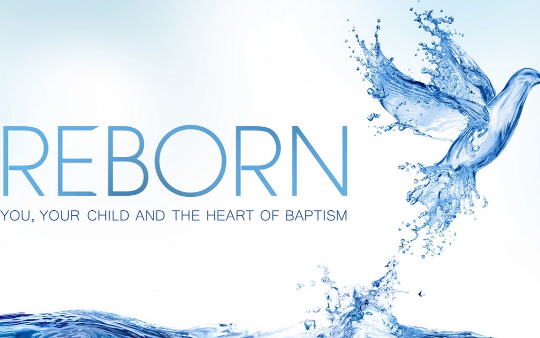 Reborn: You, Your Child, and the Heart of Baptism